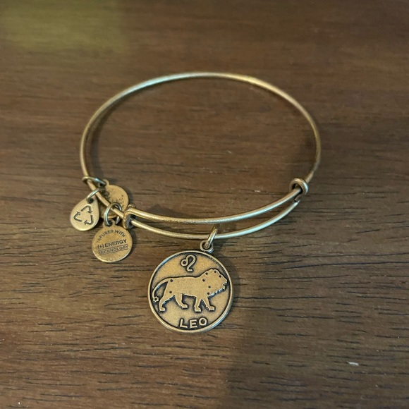 Alex and Ani Leo charm bangle bracelet gold tone—new in box - Picture 2 of 4